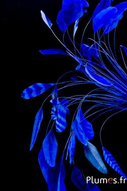 Coquetips chinchilla blanchis  - 13-18 cm - bleu